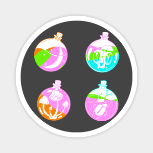 4 potion viles with a moon, cat skull, mushrooms and a scarabey inside cute gift Magnet